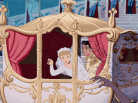 Honeymoon GIFs - Get the best gif on GIFER