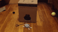 Glory hole GIFs - Get the best gif on GIFER