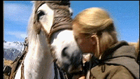 Legolas and Shadowfax