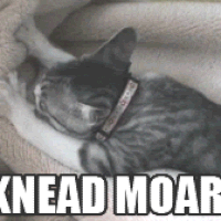 Moar GIFs - Get the best gif on GIFER