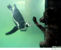 Ensemble GIFs - Get the best gif on GIFER