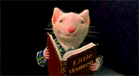 Mouse Reading GIF - Mouse Reading Stuart little GIFs