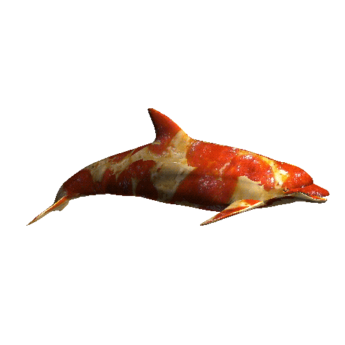 Pizza dolphin GIF Conseguir o melhor gif em GIFER