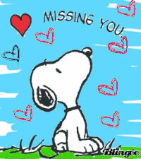 Snoopy GIFs - Get the best gif on GIFER
