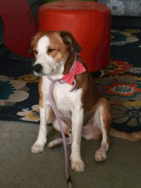 A Queen Is Never Late Gifs Get The Best Gif On Gifer