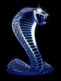 Cobras GIFs - Get the best gif on GIFER