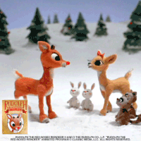 Rudolph GIFs - Get the best gif on GIFER