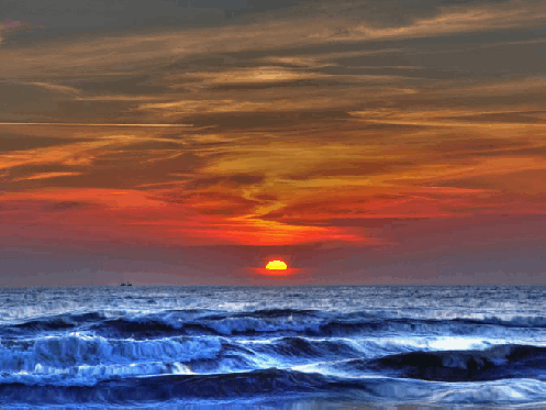Meer GIFs Get The Best Gif On GIFER
