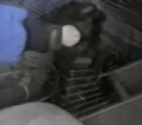 handjobs-gifs-get-the-best-gif-on-gifer