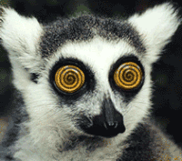GIF flying lemur masking naruto - GIF animado em GIFER