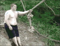 Ropes GIFs - Get the best gif on GIFER