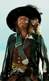 Pirat GIFs - Get the best gif on GIFER