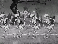 Skeleton Bones GIF - Skeleton Bones Dancing GIFs  Gif dançando, Shrek  engraçado, Imagens aleatórias