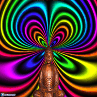 GIFs Shift Medulla Buddha GIF