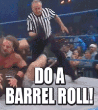 Do-a-barrel-roll GIFs - Get the best GIF on GIPHY