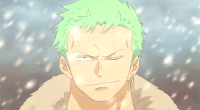 Roronoa-zoro GIFs - Get the best GIF on GIPHY