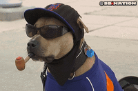 Mets GIFs - Get the best gif on GIFER