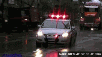 bdf93898905348608143641c3ec9d0b1_w200.gif