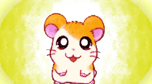 Hamtaro Rainbow Rescue Gifs Get The Best Gif On Gifer