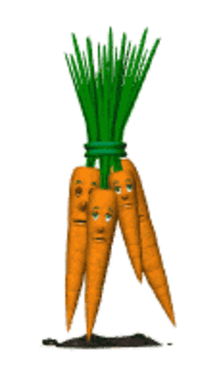 Carrot GIFs - Get the best gif on GIFER