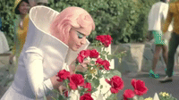 Smelling The Roses Gif Smell GIFs - Get the best gif on GIFER