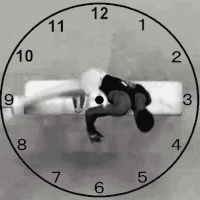 Clock Click Gif Clock GIFs - Get the best gif on GIFER