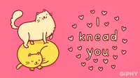 I Love Cats Gifs Get The Best Gif On Gifer