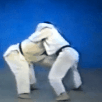 Judo GIFs - Get the best gif on GIFER