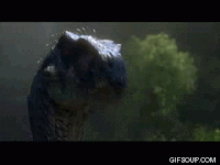 Wrangling Raptors Gif Raptors GIFs - Get the best gif on GIFER