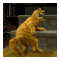 Besouro GIF - Conseguir o melhor gif em GIFER
