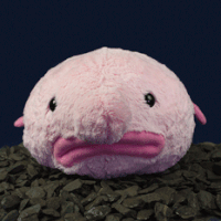 Blobfish GIFs - Get the best gif on GIFER