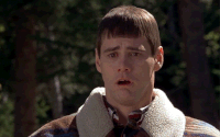 c3c329e44bd240fe04758211c9708cdf_w200.gif