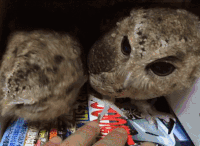 Destroying GIFs - Get the best gif on GIFER