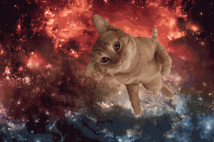 Space and cats GIF Conseguir o melhor gif em GIFER