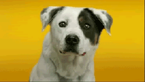Smilejpg гифки, анимированные GIF изображения smilejpg - скачать гиф ...
