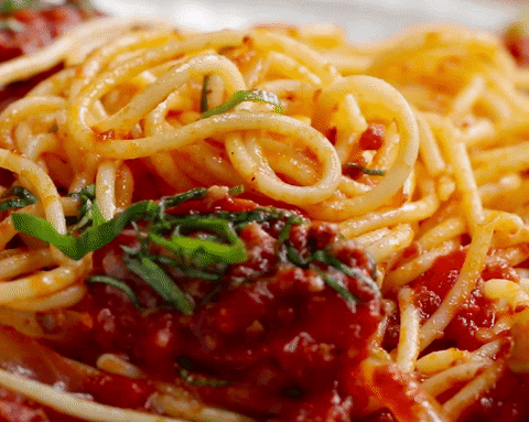 Spaghetti GIFs - Get the best gif on GIFER