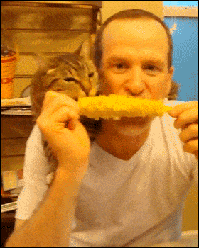 Sharing гифки, анимированные GIF изображения sharing - скачать гиф ...