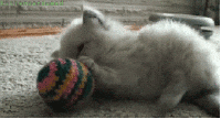 Yarn GIFs - Get the best gif on GIFER