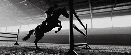 Equestrian GIFs - Get the best gif on GIFER