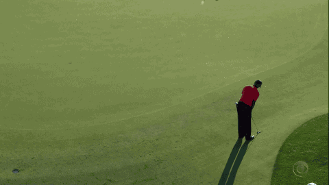 Tiger Woods Back Gifs Get The Best Gif On Gifer