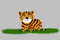 Tiger GIFs - Get the best gif on GIFER