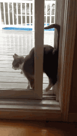 https://i.gifer.com/origin/ca/ca6a947306942df51ee52f98047a4c02.gif