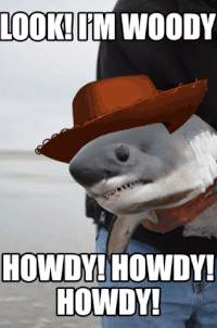 Howdy Sasuke Howdy Gamer GIF - Howdy Sasuke Howdy Gamer Howdy