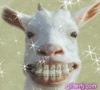 Ziege GIFs Get The Best Gif On GIFER