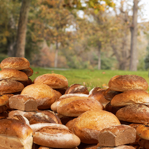 Loaf GIFs Get the best gif on GIFER