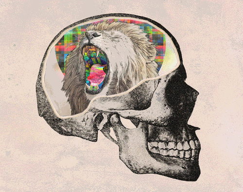 Creativity GIFs - Get the best gif on GIFER