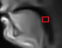 Computer vision GIFs - Get the best gif on GIFER