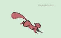 Squirrels GIFs - Get the best gif on GIFER