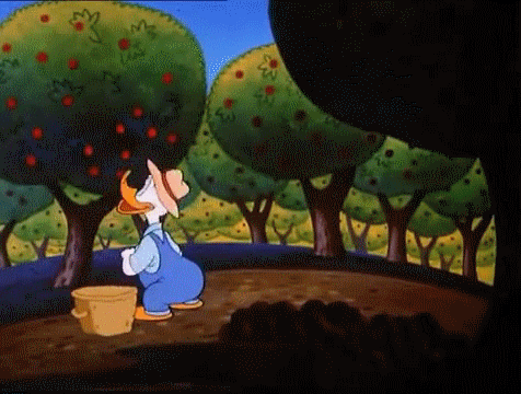 Picking GIFs - Get the best gif on GIFER