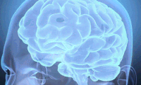 Brain GIFs - Get the best gif on GIFER